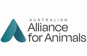 Alliance for Animals