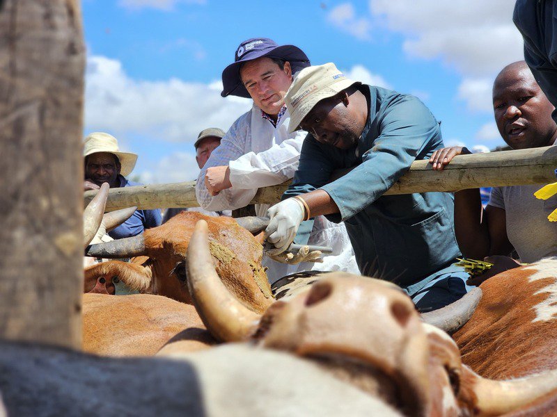 Image: The SA Government, X